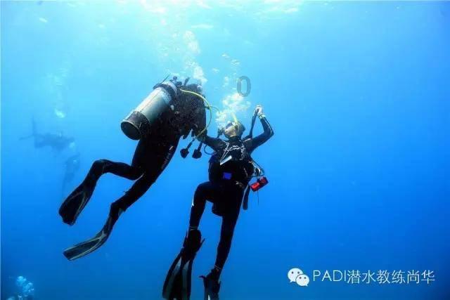 请问 这是什么车？